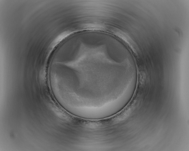 X0000110711074200906121350