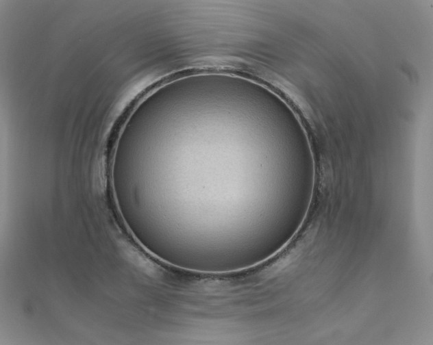 X0000110711075200906121350