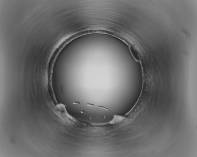 X0000110711076200906121350
