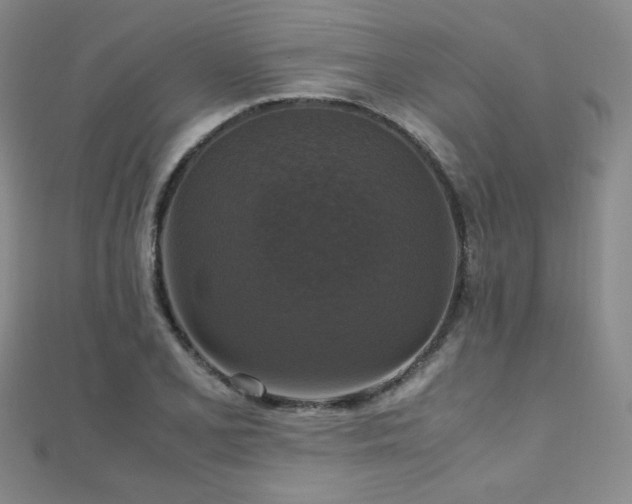 X0000110711077200906121350