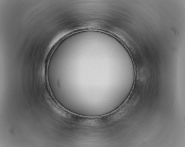 X0000110711078200906121350