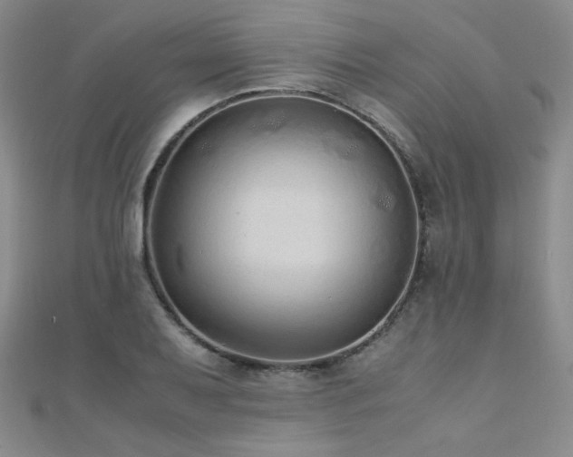 X0000110711079200906121350