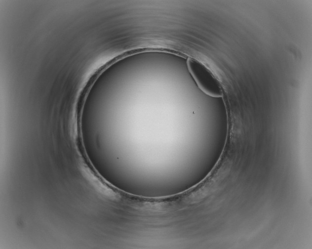 X0000110711080200906121350