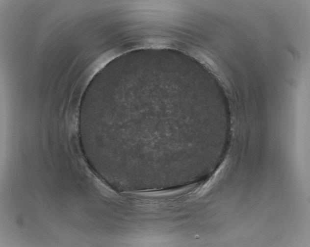 X0000110711081200906121350