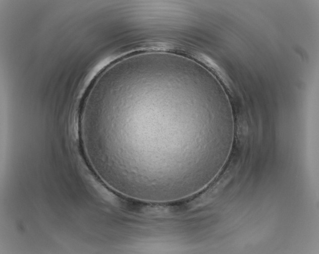 X0000110711083200906121349