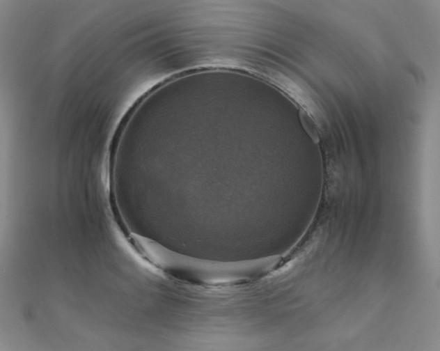 X0000110711084200906121349