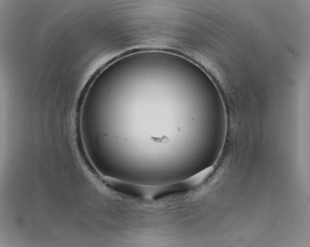 X0000110711085200906121349