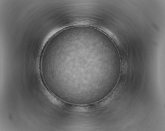X0000110711086200906121349