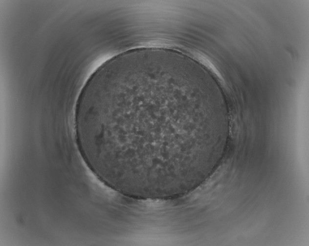 X0000110711087200906121349