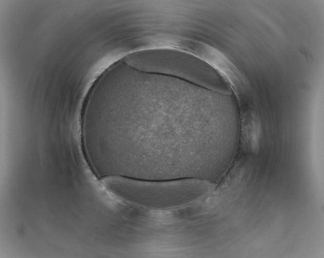 X0000110711088200906121349