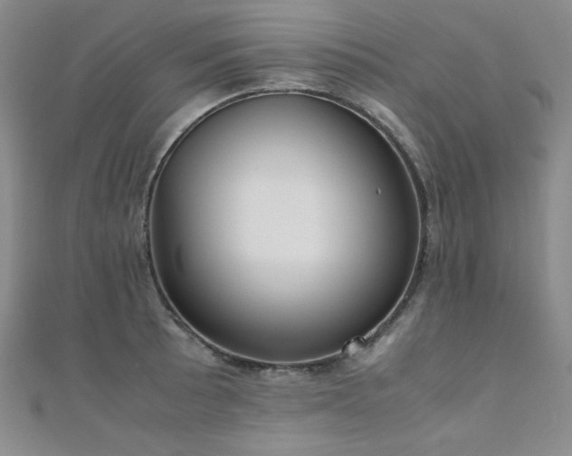 X0000110711089200906121349