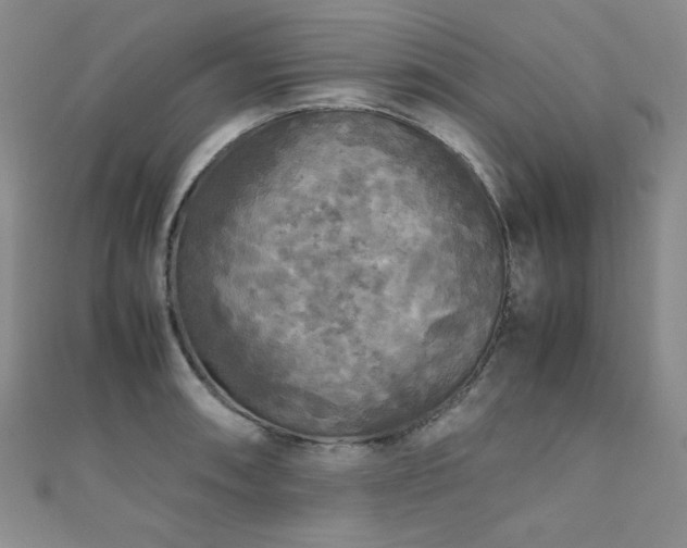 X0000110711090200906121349