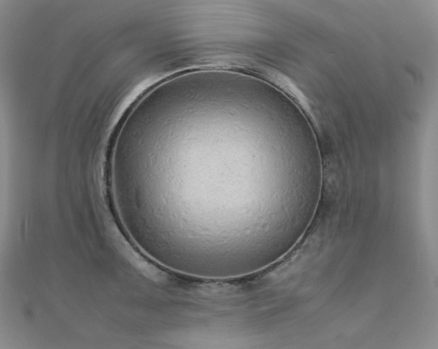 X0000110711091200906121349