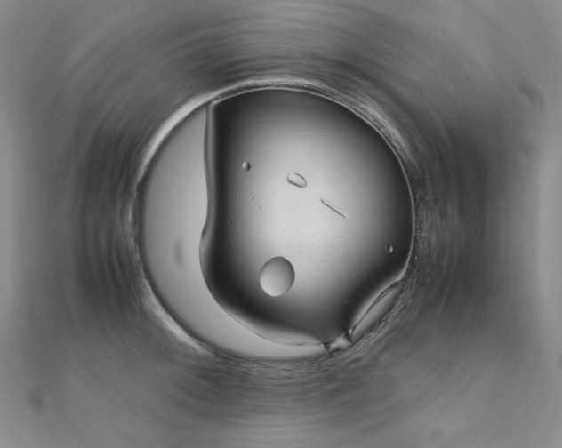 X0000110711092200906121349
