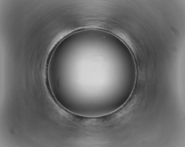 X0000110711093200906121349