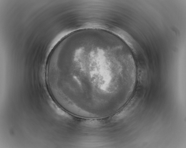 X0000110711094200906121349