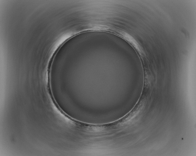 X0000110711095200906121349