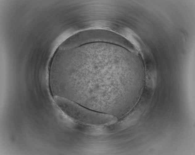 X0000110711096200906121349