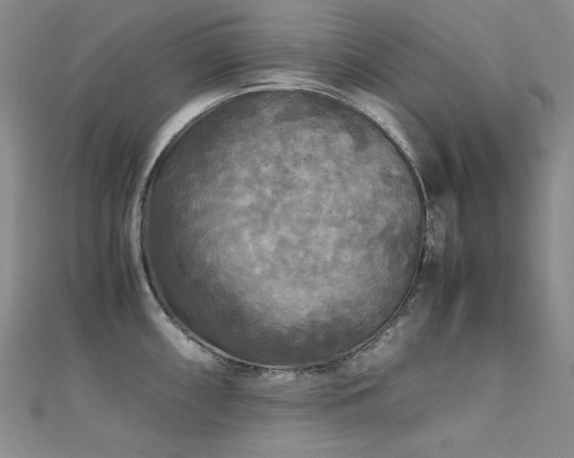 X0000110711098200906121349