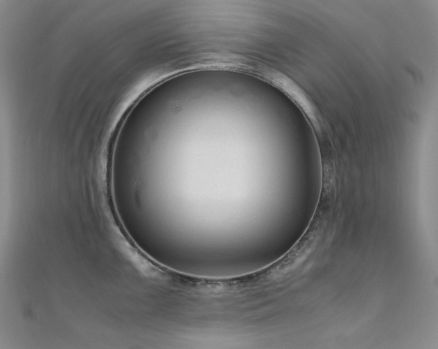 X0000110711099200906121349