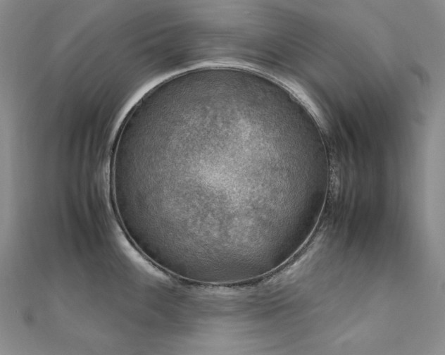 X0000110711100200906121349