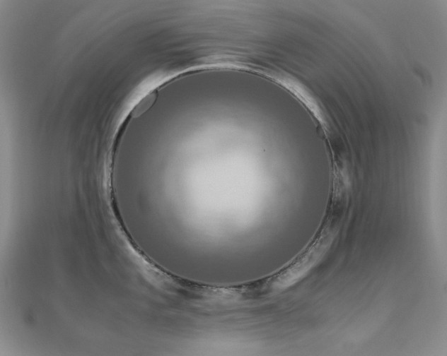 X0000110711101200906121349