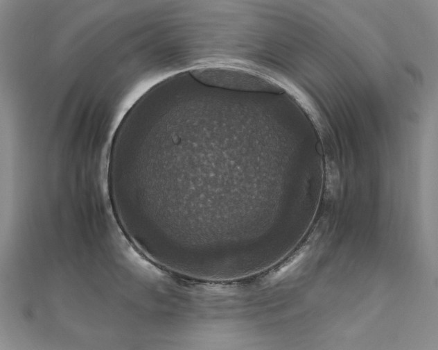 X0000110711102200906121349