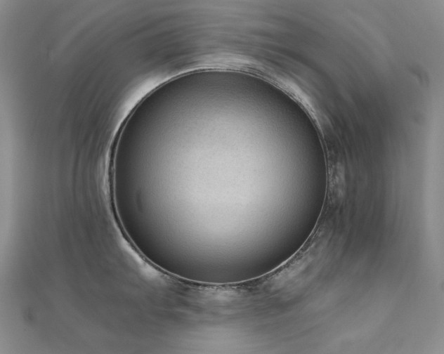 X0000110711103200906121349