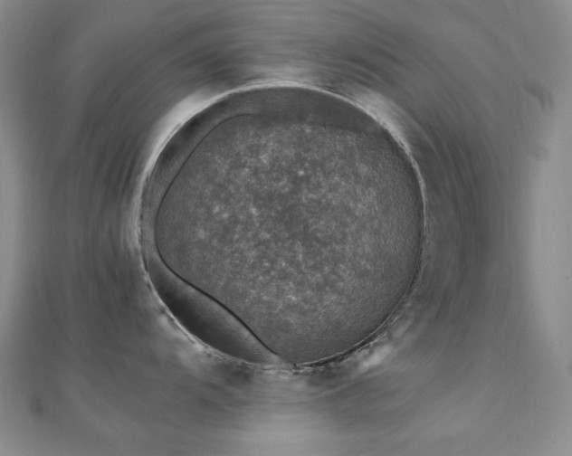 X0000110711104200906121349