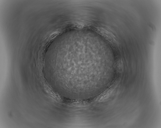 X0000110711105200906121348