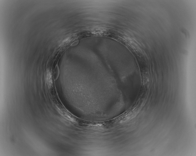 X0000110711106200906121348