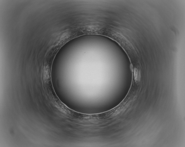 X0000110711107200906121348