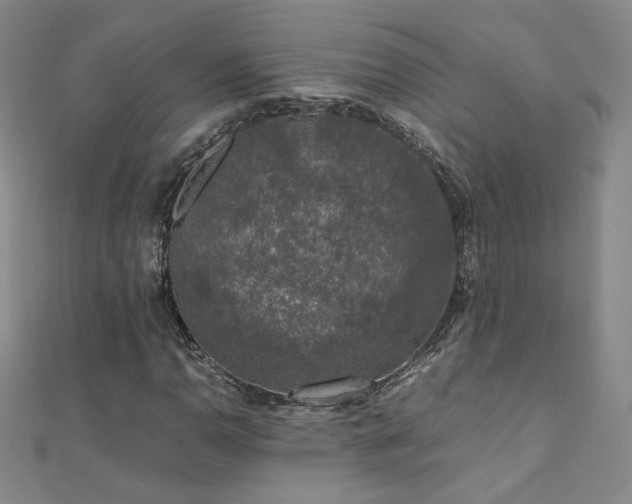 X0000110711110200906121349
