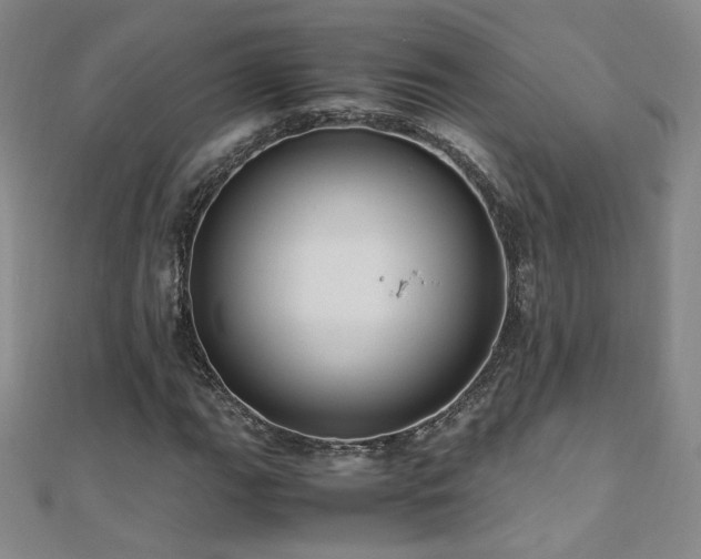 X0000110711111200906121349
