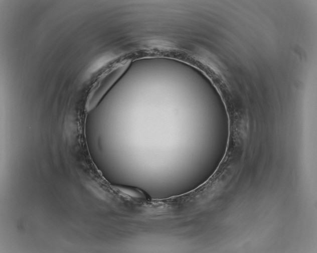 X0000110711112200906121349