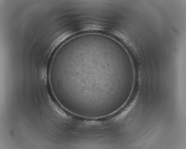 X0000110711113200906121349