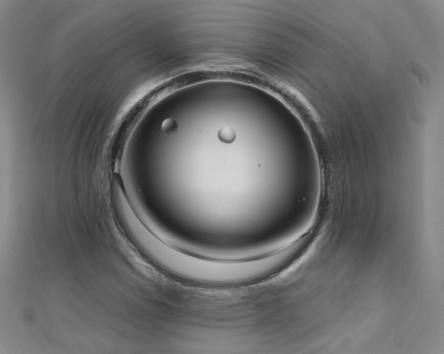 X0000110711114200906121349