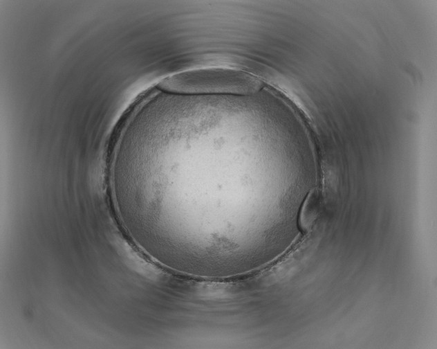 X0000110711116200906121349