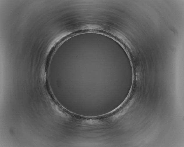 X0000110711117200906121349