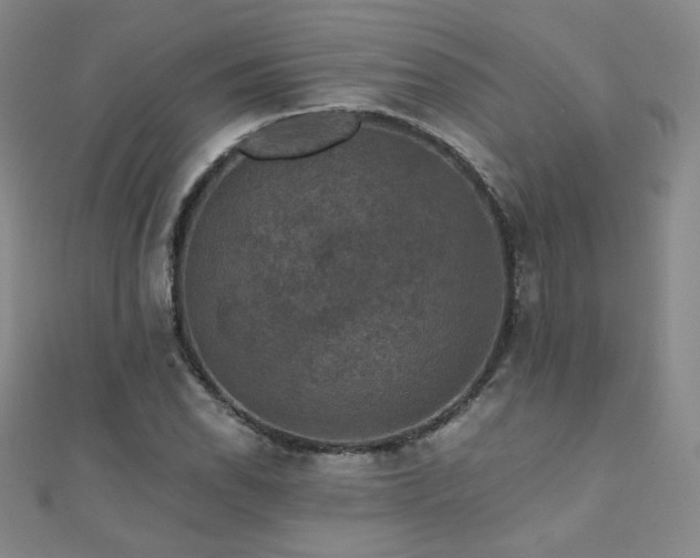 X0000110711118200906121349