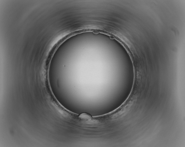 X0000110711119200906121349