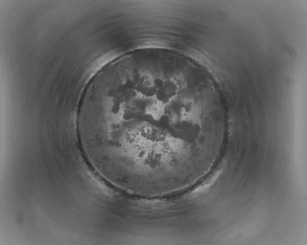 X0000110711121200906121349