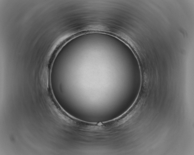 X0000110711123200906121349