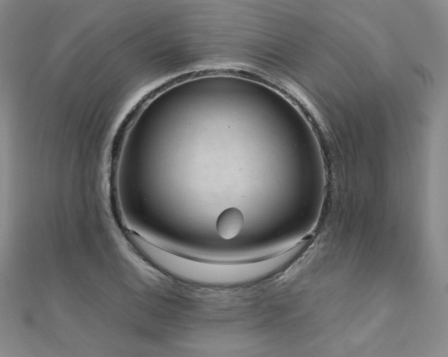 X0000110711124200906121349