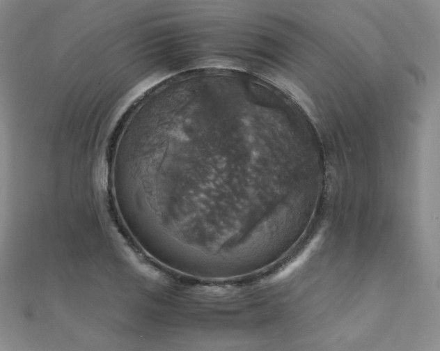 X0000110711125200906121349