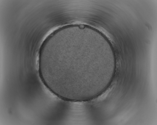 X0000110711126200906121349
