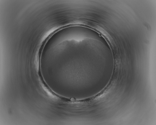 X0000110711127200906121349