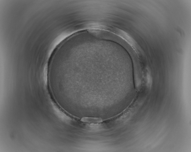 X0000110711128200906121349