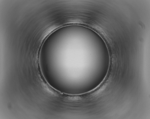 X0000110711129200906121349