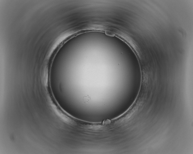 X0000110711131200906121349